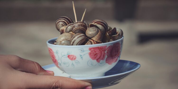 Authentic Moroccan Street