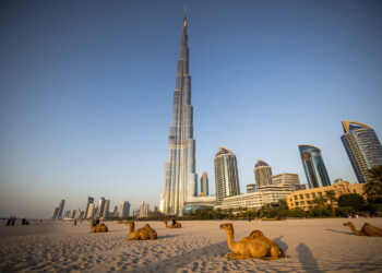 Is Living in Dubai Really Worth It?