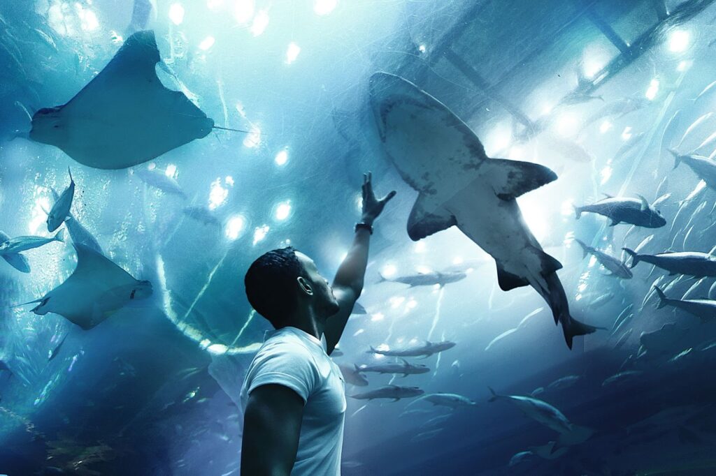 30: Underwater Zoo in Dubai